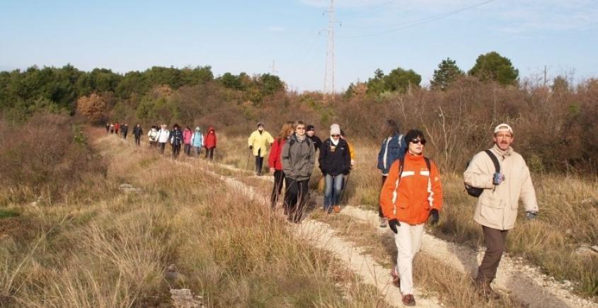 Walking along the Parenzana trail