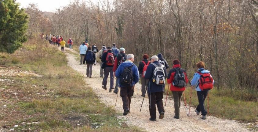 Walking along the Parenzana trail