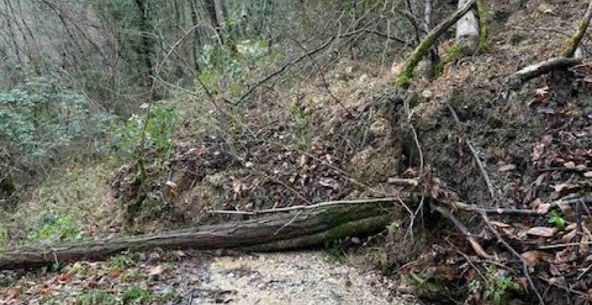 Caution! Landslides on Parenzana