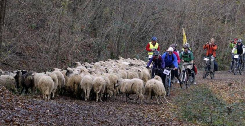Bycicle Race 26-27.11.2011.