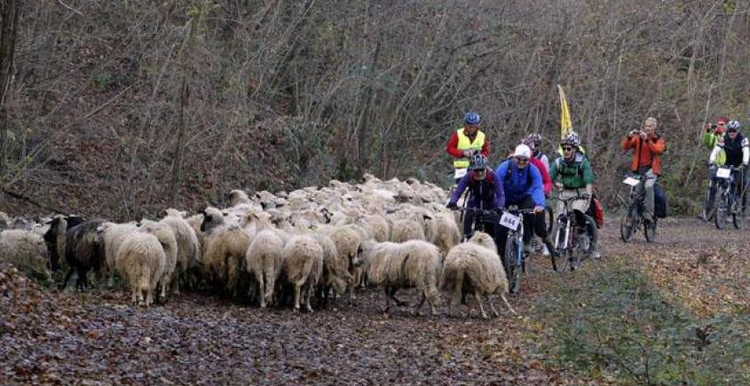 Bycicle Race 26-27.11.2011.