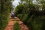 MTB Spring Parenzana